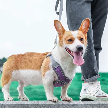 Köpek Koşum Seti Nefes Yansıtıcı evcil hayvan koşumu yelek Küçük orta Köpekler için Açık Koşu Eğitim Aksesuarları