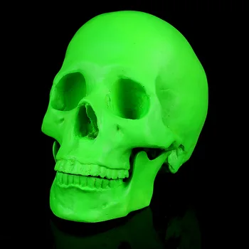 Tıbbi Reçine yeşil Kafatası modeli Barlar Yapay kafatası Modeli Cadılar Bayramı Hediyeler
